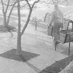 VÍDEO: Suspeito em janeiro de 2021, caso de bomba no Capitólio dos EUA é preso