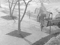 VÍDEO: Suspeito em janeiro de 2021, caso de bomba no Capitólio dos EUA é preso VÍDEO: Suspeito em janeiro de 2021, caso de bomba no Capitólio dos EUA é preso