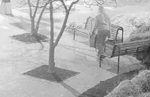 VÍDEO: Suspeito em janeiro de 2021, caso de bomba no Capitólio dos EUA é preso VÍDEO: Suspeito em janeiro de 2021, caso de bomba no Capitólio dos EUA é preso