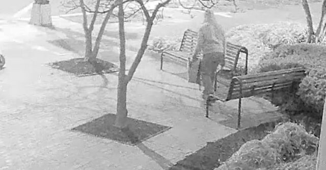 VÍDEO: Suspeito em janeiro de 2021, caso de bomba no VÍDEO: Suspeito em janeiro de 2021, caso de bomba no Capitólio dos EUA é preso