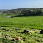 Venda de propriedade em Rocky Springs libera terras da família Taylor para novos proprietários