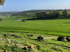 Venda de propriedade em Rocky Springs libera terras da família Taylor para novos proprietários Venda de propriedade em Rocky Springs libera terras da família Taylor para novos proprietários