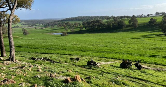 Venda de propriedade em Rocky Springs libera terras da família Taylor para novos proprietários
