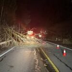 Ventos fortes e árvores derrubadas cortam energia para milhares de residentes do noroeste