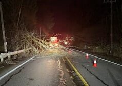 Ventos fortes e árvores derrubadas cortam energia para milhares de residentes do noroeste Ventos fortes e árvores derrubadas cortam energia para milhares de residentes do noroeste