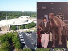 Vídeo chocante mostra uma mulher dando um chute de camelo no rosto, nocauteando-a na celebração de Natal da megaigreja do Texas Um camelo chuta com força uma mulher que participava de uma celebração de Natal em uma megaigreja no Texas