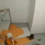 jffey-cal-al-v3-12-22-2025