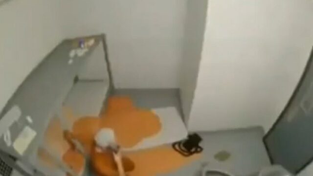 jffey-cal-al-v3-12-22-2025