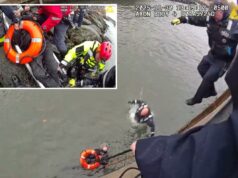 Vídeo dramático mostra policiais da NYPD pulando em ‘água gelada’ para resgatar um homem que lutava em East River Uma pessoa jogando uma corda de resgate para duas pessoas em águas turbulentas abaixo.