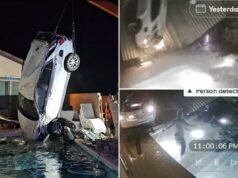 Vídeo selvagem mostra carro em alta velocidade decolando e ejeta o motorista na piscina do quintal de Nevada Vídeo selvagem mostra carro em alta velocidade decolando e ejeta o motorista na piscina do quintal de Nevada