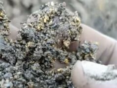 Virais! Grãos de ouro encontrados após inundações no oeste de Aceh Virais! Grãos de ouro encontrados após inundações no oeste de Aceh