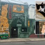 Virginia cat café fecha pelo resto do ano depois que um gatinho travesso inunda o negócio em uma 'série de acidentes estranhos'