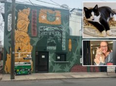 Virginia cat café fecha pelo resto do ano depois que um gatinho travesso inunda o negócio em uma ‘série de acidentes estranhos’ Virginia cat café fecha pelo resto do ano depois que um gatinho travesso inunda o negócio em uma 'série de acidentes estranhos'