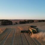 Voluntários e Vixen colaboram para garantir que o show icônico do Wheatbelt possa continuar