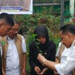 YSPN incentiva a agricultura urbana em ambientes escolares e visa o envolvimento de 175.000 estudantes em Pekanbaru