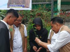 YSPN incentiva a agricultura urbana em ambientes escolares e visa o envolvimento de 175.000 estudantes em Pekanbaru YSPN incentiva a agricultura urbana em ambientes escolares e visa o envolvimento de 175.000 estudantes em Pekanbaru