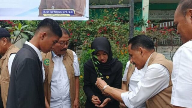 YSPN incentiva a agricultura urbana em ambientes escolares e visa YSPN incentiva a agricultura urbana em ambientes escolares e visa o envolvimento de 175.000 estudantes em Pekanbaru