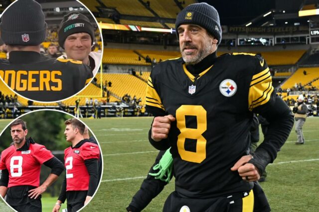 logotipo de fantasia azarão