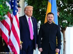Zelensky correrá para Mar-a-Lago para uma reunião urgente depois de desejar que Putin estivesse morto no Natal e humilhar o líder russo no campo de batalha Zelensky correrá para Mar-a-Lago para uma reunião urgente depois de desejar que Putin estivesse morto no Natal e humilhar o líder russo no campo de batalha