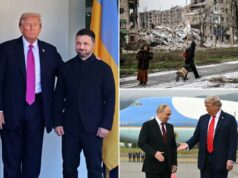 Zelensky diz que encontro com Trump acontecerá “num futuro próximo” Zelensky diz que encontro com Trump acontecerá “num futuro próximo”