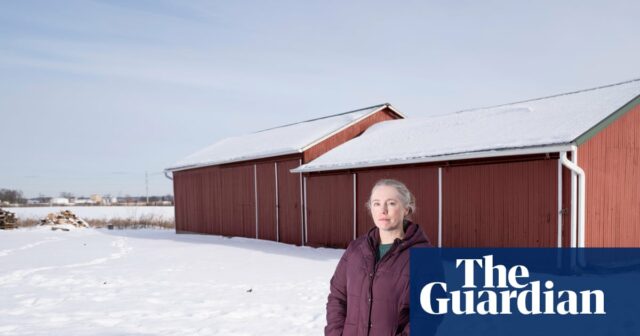 ‘Exclusivamente malvado’: residentes de Michigan lutam contra um enorme data center apoiado por grandes magnatas
