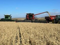 ‘Parecia horrível’: retorno notável para a colheita comunitária de clubes esportivos ‘Parecia horrível’: retorno notável para a colheita comunitária de clubes esportivos