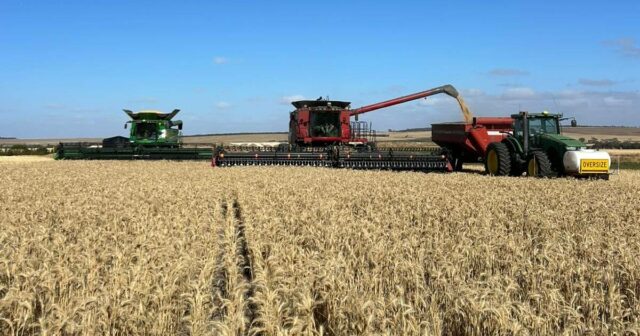 ‘Parecia horrível’: retorno notável para a colheita comunitária de clubes ‘Parecia horrível’: retorno notável para a colheita comunitária de clubes esportivos