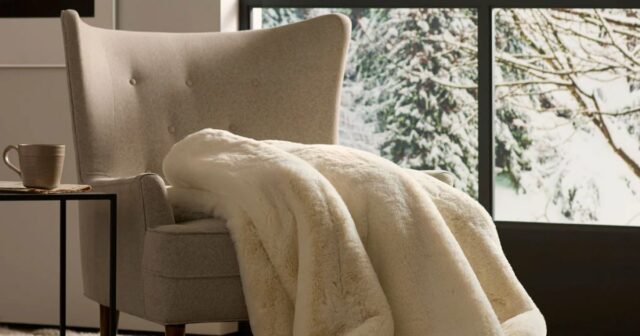 26 Fundamentos aprovados pelo editor para 2026 - de A a Z!
