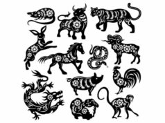 6 signos do zodíaco mais sortudos no domingo, 25 de janeiro de 2026, fortuna e sorte vêm de maneiras inesperadas 6 signos do zodíaco mais sortudos no domingo, 25 de janeiro de 2026, fortuna e sorte vêm de maneiras inesperadas