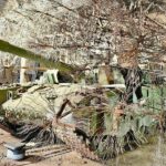 A blindagem de tanque 'dente-de-leão' da Rússia pode funcionar