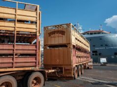 A chocante mudança de política live-ex de Albo: ‘um tiro no braço para os produtores de gado’ A chocante mudança de política live-ex de Albo: 'um tiro no braço para os produtores de gado'