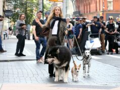 A fúria pelo cachorro de Jennifer Lawrence revela uma cultura que coloca as crianças em último lugar A fúria pelo cachorro de Jennifer Lawrence revela uma cultura que coloca as crianças em último lugar