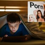 Exibição do estande do Pornhub em uma exposição de entretenimento adulto, com o logotipo da marca e diversas mulheres.