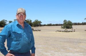 A maior ameaça do Grupo CBH não é o Macquarie, são duas décadas de erros A maior ameaça do Grupo CBH não é o Macquarie, são duas décadas de erros