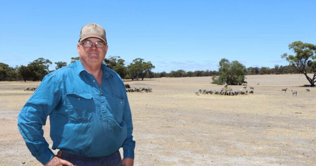 A maior ameaça do Grupo CBH não é o Macquarie, são duas décadas de erros
