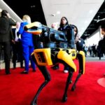 Uma mulher com longos cabelos castanhos e um suéter cinza sorri para a câmera