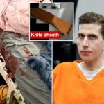 A polícia de Idaho revela o motivo pelo qual 'removeu temporariamente' as terríveis fotos da cena do crime de Bryan Kohberger