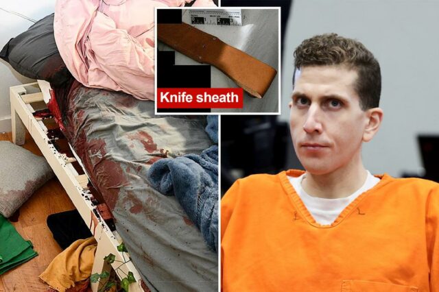 A polícia de Idaho revela o motivo pelo qual 'removeu A polícia de Idaho revela o motivo pelo qual 'removeu temporariamente' as terríveis fotos da cena do crime de Bryan Kohberger