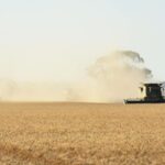 A queda dos preços dos grãos em WA continua: por que os produtores da costa leste deveriam observar de perto