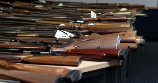 Ag no limite: Trabalhistas dividem projeto de lei depois que os Verdes concordam em aprovar leis sobre armas na próxima semana
