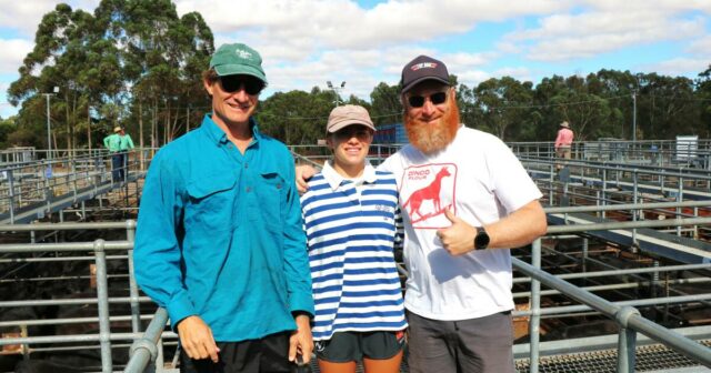 Agentes, lotfeeders e backgrounders estavam em vigor - descubra por quê?
