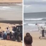 011926_sydney_shark_attack_primary