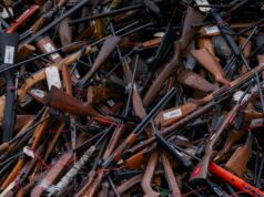 Agricultores defendem a reforma das armas aos legisladores, mas os Verdes podem decidir seu destino Agricultores defendem a reforma das armas aos legisladores, mas os Verdes podem decidir seu destino