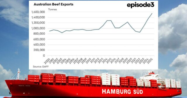 Ainda mais carne bovina enviada do que pensávamos, mas o peso da carcaça diminui um pouco
