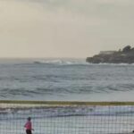 Alarme de tubarão leva nadadores matinais à costa em Sydney