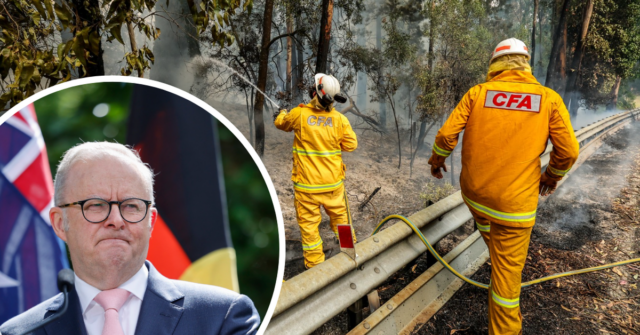 Dirigindo-se à mídia do Centro de Controle do Estado de Victoria, Albanese anunciou que os fundos elevariam os acordos de financiamento para recuperação de desastres do Estado da Commonwealth para US$ 329 milhões.