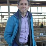 Além da expansão e da queda: Roteiro para orientar os produtores de ovinos da WA durante a transição