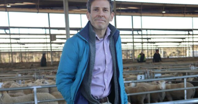 Além da expansão e da queda: Roteiro para orientar os produtores de ovinos da WA durante a transição
