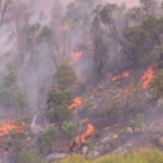Os residentes ao redor da área de Longwood foram instados a procurar abrigo imediato.