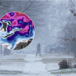 A person walks across the street after a winter storm system hit South East Michigan, Monday, Dec. 29, 2025, in Detroit / A snow depth map from WXCharts shows some of the impacted areas
